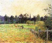 Cattle Camille Pissarro
